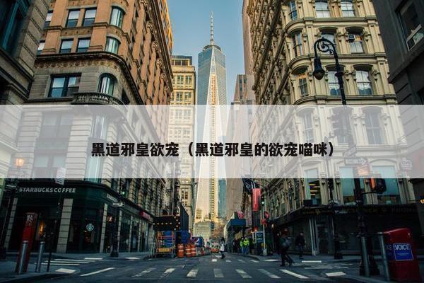 黑道邪皇欲宠（黑道邪皇的欲宠喵咪）