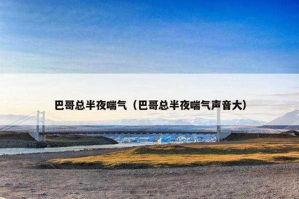 巴哥总半夜喘气（巴哥总半夜喘气声音大）