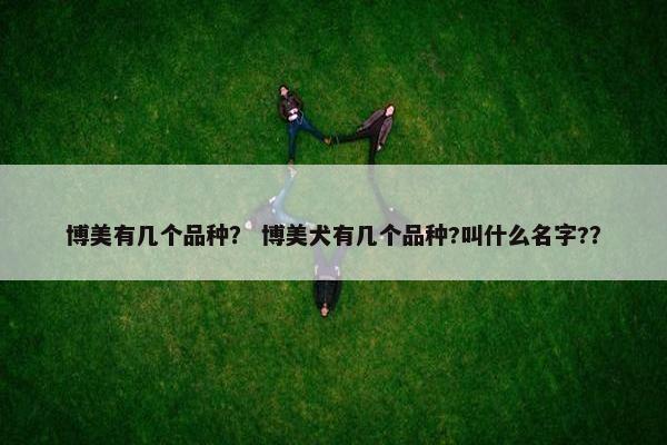 博美有几个品种？ 博美犬有几个品种?叫什么名字?？