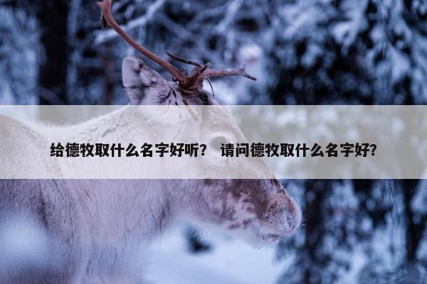 给德牧取什么名字好听？ 请问德牧取什么名字好？