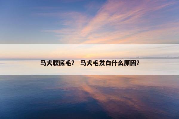 马犬腹底毛？ 马犬毛发白什么原因？