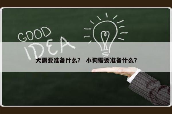 犬需要准备什么？ 小狗需要准备什么？