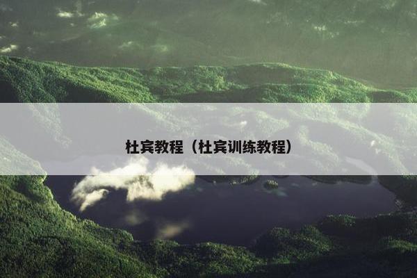 杜宾教程（杜宾训练教程）