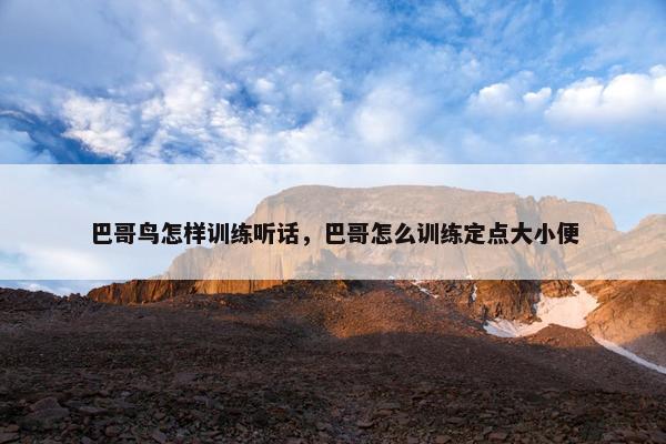 巴哥鸟怎样训练听话，巴哥怎么训练定点大小便