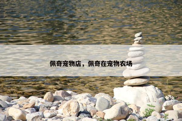 佩奇宠物店，佩奇在宠物农场