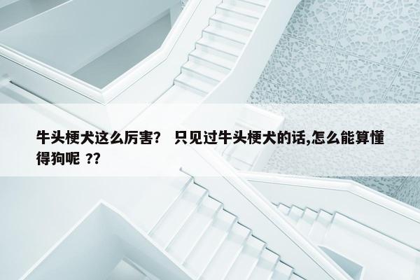 牛头梗犬这么厉害？ 只见过牛头梗犬的话,怎么能算懂得狗呢 ?？