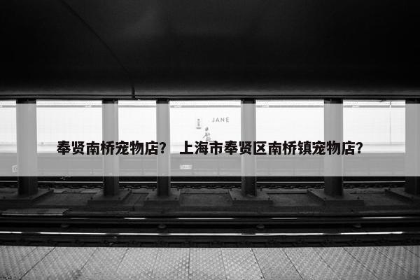 奉贤南桥宠物店？ 上海市奉贤区南桥镇宠物店？