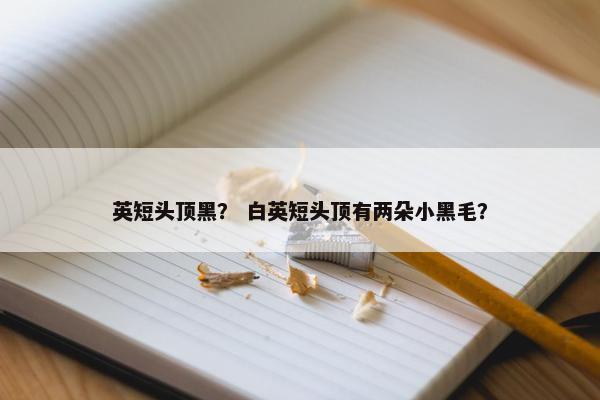 英短头顶黑？ 白英短头顶有两朵小黑毛？