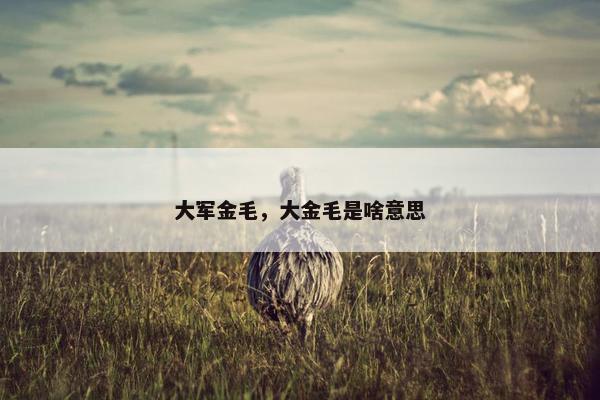 大军金毛，大金毛是啥意思