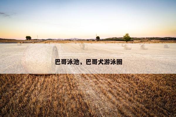 巴哥泳池，巴哥犬游泳圈