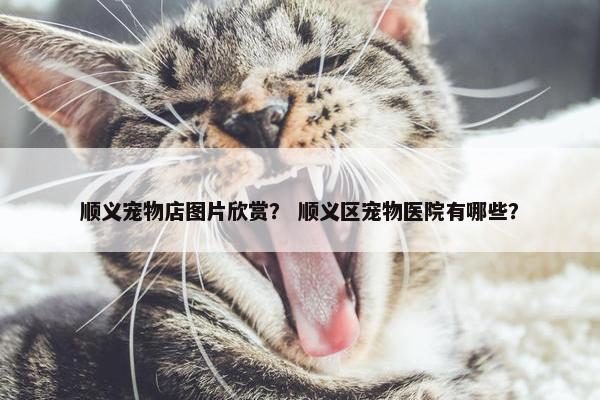顺义宠物店图片欣赏？ 顺义区宠物医院有哪些？