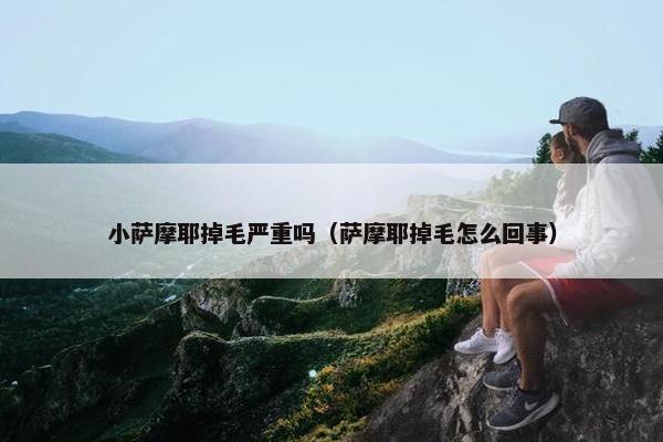 小萨摩耶掉毛严重吗（萨摩耶掉毛怎么回事）