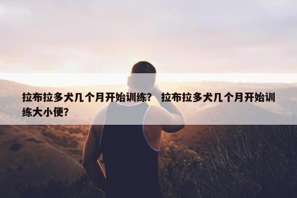 拉布拉多犬几个月开始训练？ 拉布拉多犬几个月开始训练大小便？