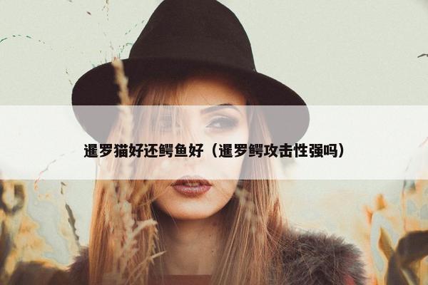 暹罗猫好还鳄鱼好（暹罗鳄攻击性强吗）