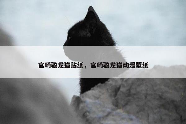 宫崎骏龙猫贴纸，宫崎骏龙猫动漫壁纸