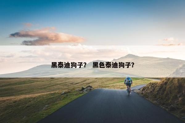 黑泰迪狗子？ 黑色泰迪狗子？