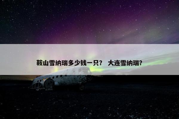 鞍山雪纳瑞多少钱一只？ 大连雪纳瑞？