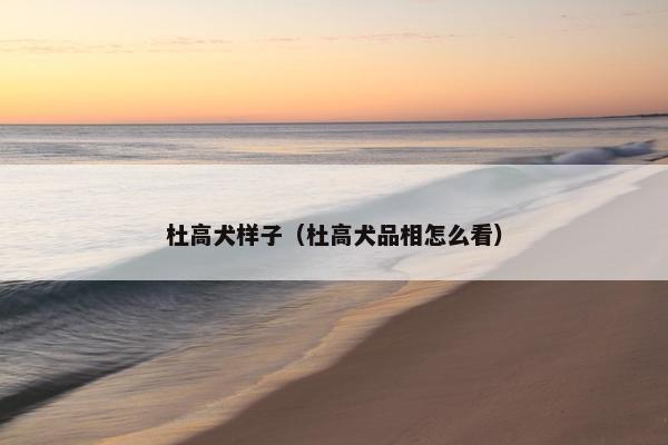 杜高犬样子（杜高犬品相怎么看）