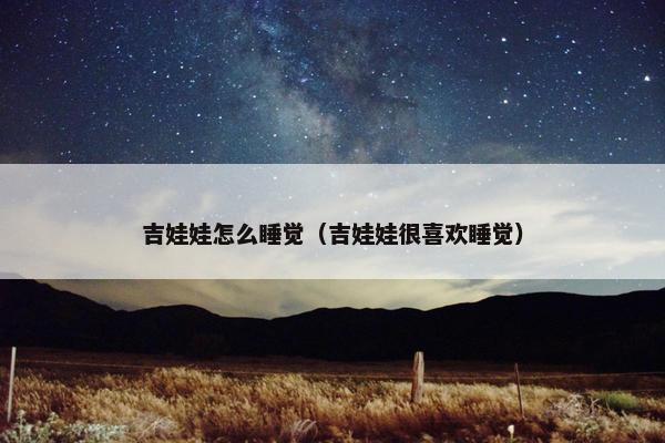 吉娃娃怎么睡觉（吉娃娃很喜欢睡觉）