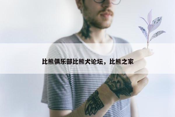 比熊俱乐部比熊犬论坛，比熊之家