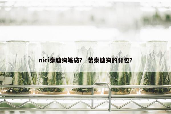nici泰迪狗笔袋？ 装泰迪狗的背包？