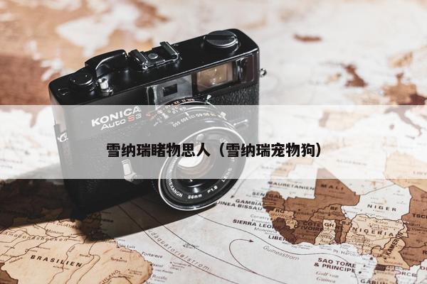 雪纳瑞睹物思人（雪纳瑞宠物狗）