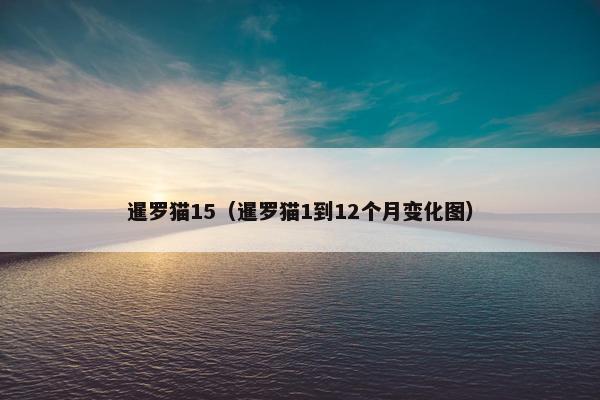 暹罗猫15（暹罗猫1到12个月变化图）