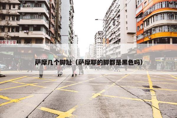 萨摩几个脚趾（萨摩耶的脚都是黑色吗）