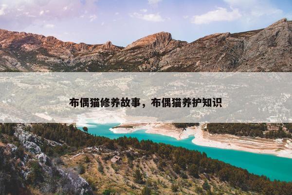 布偶猫修养故事，布偶猫养护知识