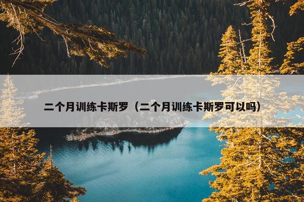 二个月训练卡斯罗（二个月训练卡斯罗可以吗）