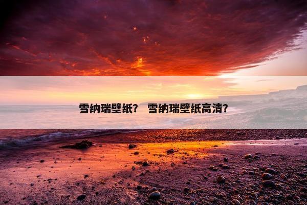 雪纳瑞壁纸？ 雪纳瑞壁纸高清？