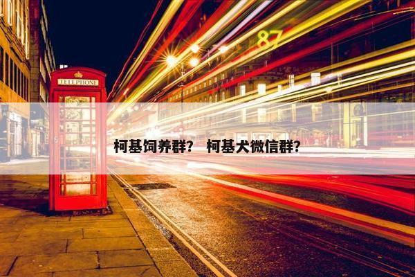 柯基饲养群？ 柯基犬微信群？