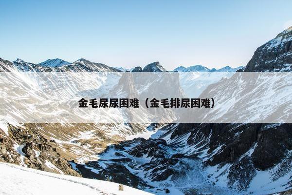 金毛尿尿困难（金毛排尿困难）