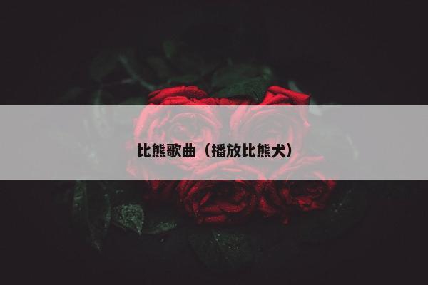 比熊歌曲（播放比熊犬）