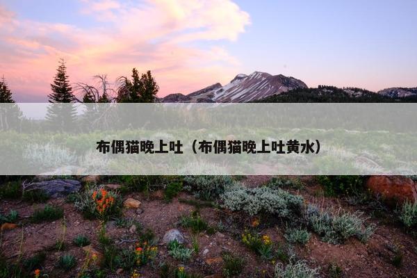 布偶猫晚上吐（布偶猫晚上吐黄水）