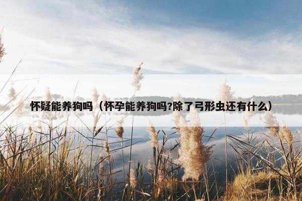 怀疑能养狗吗（怀孕能养狗吗?除了弓形虫还有什么）