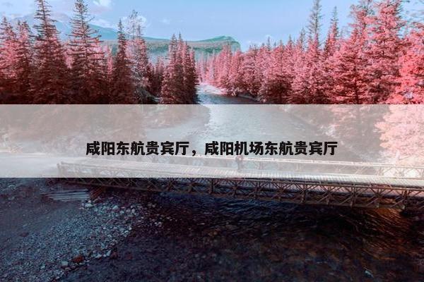 咸阳东航贵宾厅，咸阳机场东航贵宾厅