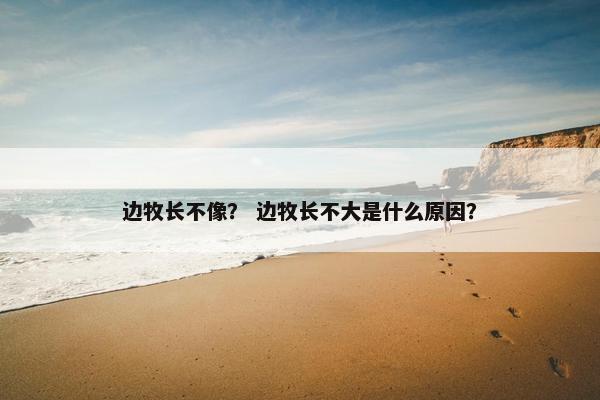 边牧长不像？ 边牧长不大是什么原因？