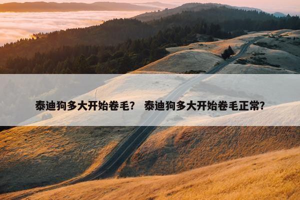 泰迪狗多大开始卷毛？ 泰迪狗多大开始卷毛正常？