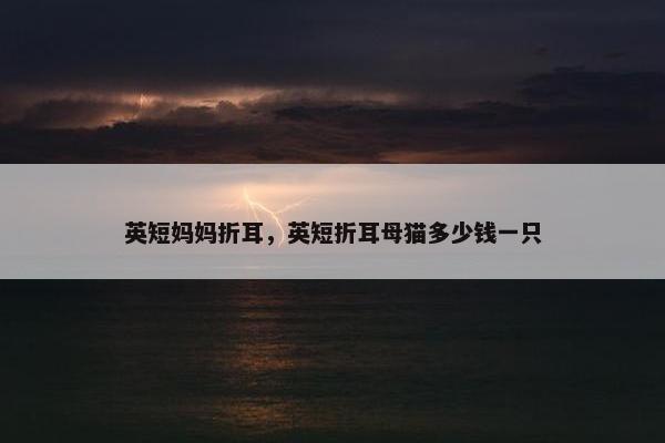英短妈妈折耳，英短折耳母猫多少钱一只