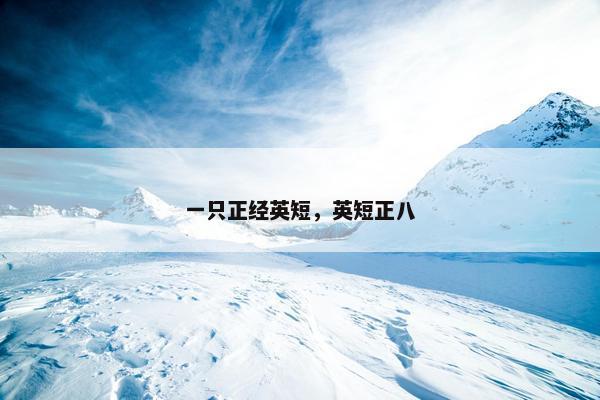 一只正经英短，英短正八
