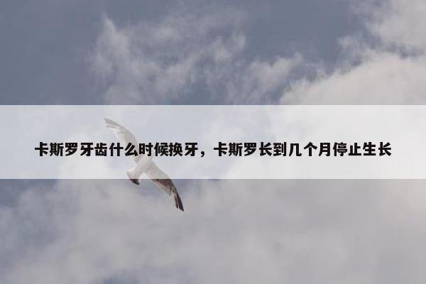 卡斯罗牙齿什么时候换牙，卡斯罗长到几个月停止生长