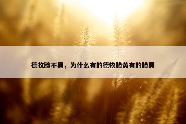 德牧脸不黑，为什么有的德牧脸黄有的脸黑