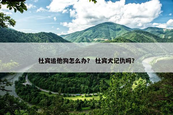 杜宾追他狗怎么办？ 杜宾犬记仇吗？