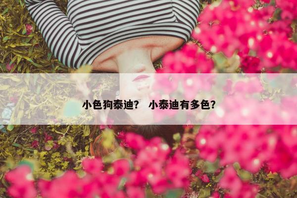 小色狗泰迪？ 小泰迪有多色？