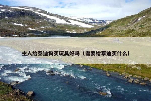 主人给泰迪狗买玩具好吗（需要给泰迪买什么）