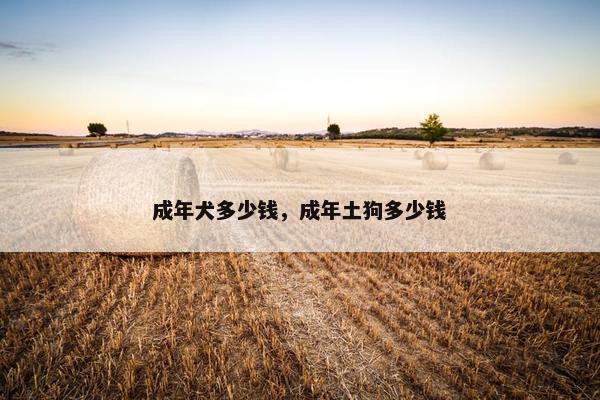 成年犬多少钱，成年土狗多少钱