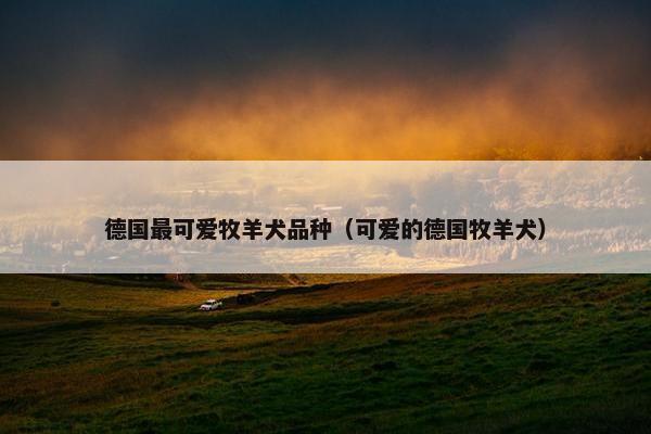 德国最可爱牧羊犬品种（可爱的德国牧羊犬）