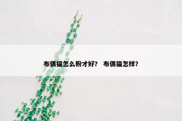 布偶猫怎么粉才好？ 布偶猫怎样？