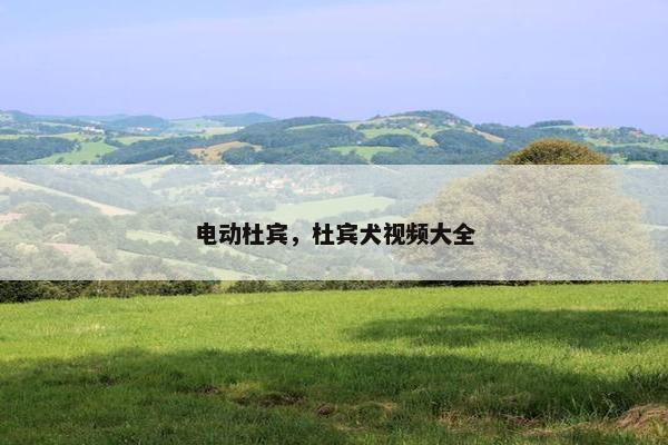 电动杜宾，杜宾犬视频大全